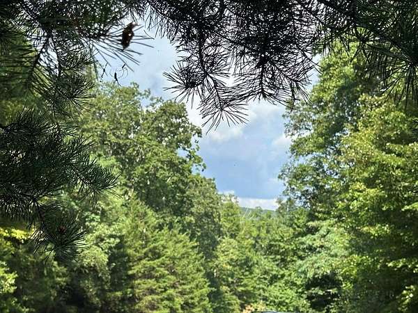 3.7 Acres of Land for Sale in Ellijay, Georgia