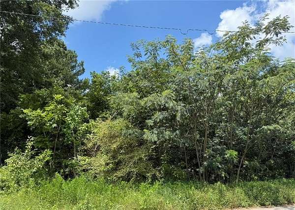 1.38 Acres of Residential Land for Sale in Atlanta, Georgia