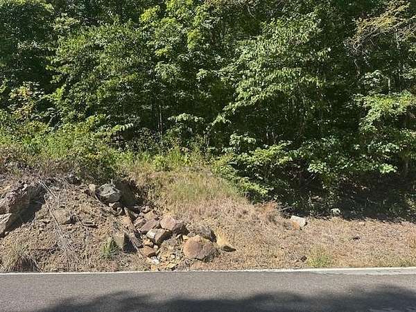 5.59 Acres of Residential Land for Sale in Wilder, Tennessee