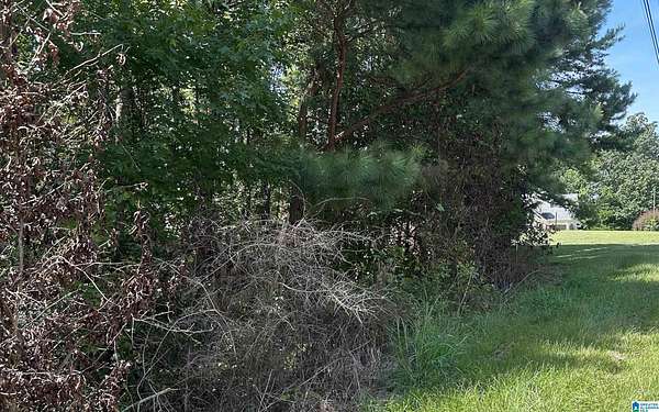 0.38 Acres of Residential Land for Sale in Jacksonville, Alabama