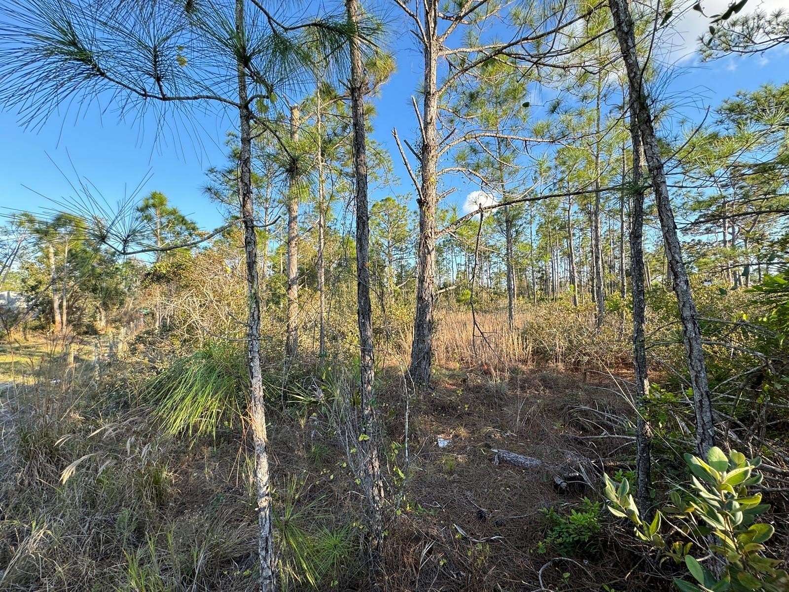 1.25 Acres of Residential Land for Sale in Punta Gorda, Florida