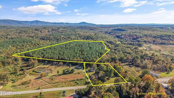 39.5 Acres of Improved Land for Sale in Sunbright, Tennessee