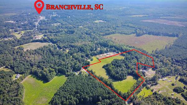27.5 Acres of Land for Sale in Branchville, South Carolina