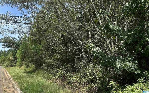 0.35 Acres of Residential Land for Sale in Jacksonville, Alabama