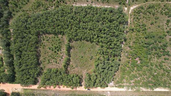 3.26 Acres of Residential Land for Sale in Kite, Georgia