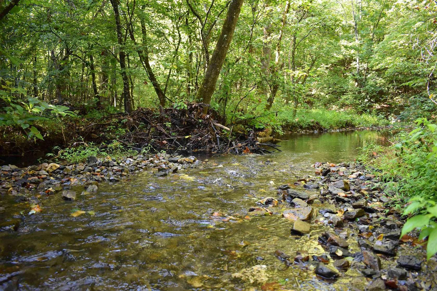 73 Acres of Recreational Land for Sale in Norman, Arkansas