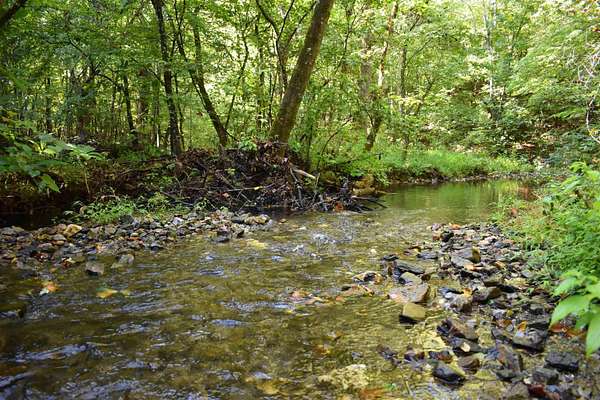 73 Acres of Recreational Land for Sale in Norman, Arkansas