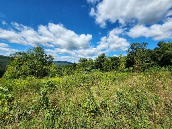 14.3 Acres of Land for Sale in Jamestown, Tennessee