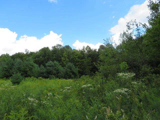 7.49 Acres of Land for Sale in Camden, New York