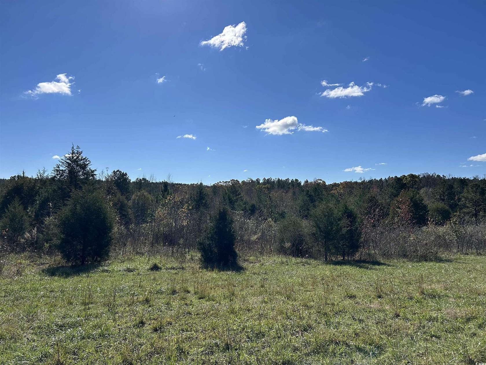 44 Acres of Recreational Land for Sale in Waterloo, South Carolina