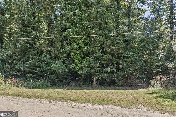 0.16 Acres of Land for Sale in Lavonia, Georgia