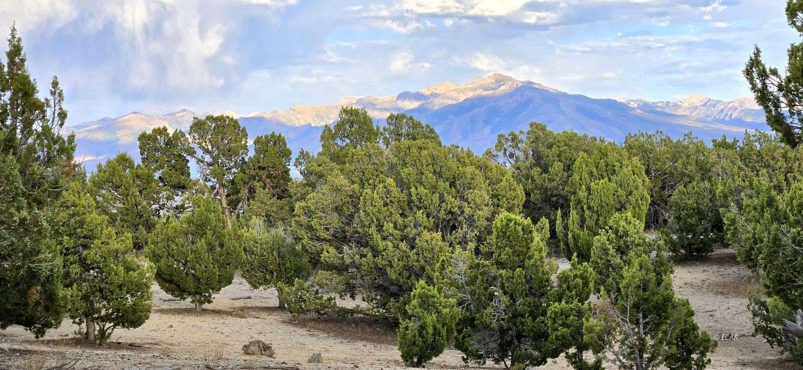 44.6 Acres of Land for Sale in Elko, Nevada