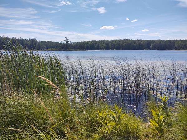 6.82 Acres of Residential Land with Home for Sale in Atlanta, Michigan