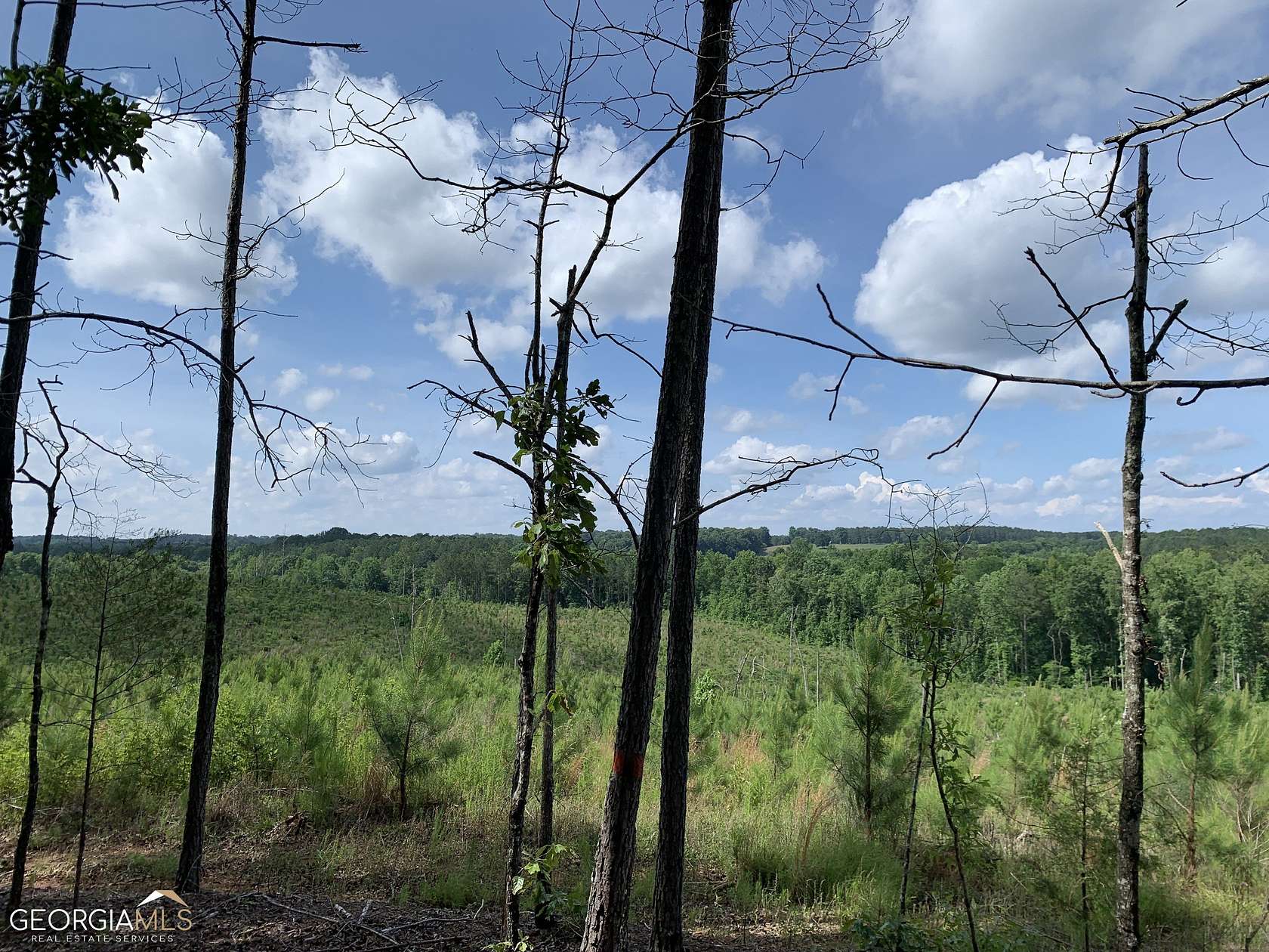 45 Acres of Land for Sale in Franklin, Georgia