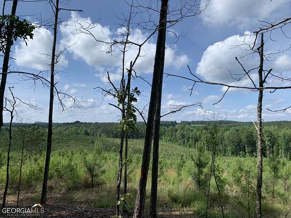 45 Acres of Land for Sale in Franklin, Georgia