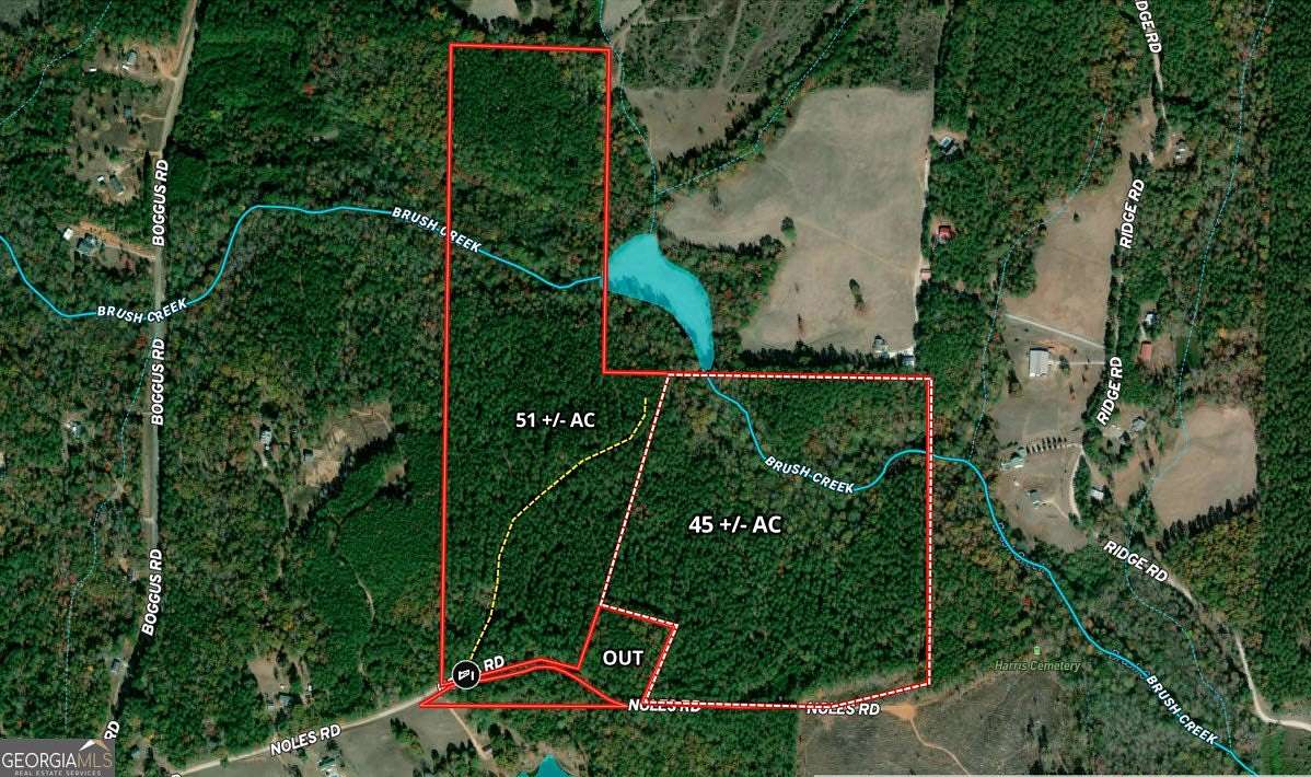 51 Acres of Land for Sale in Franklin, Georgia