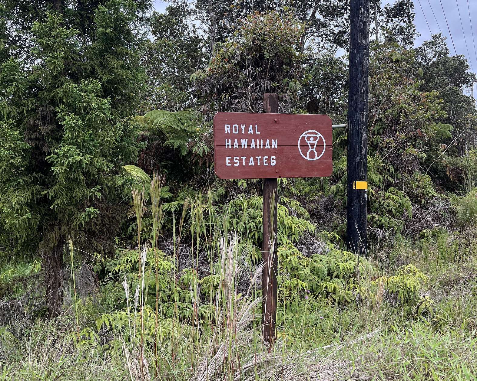 0.42 Acres of Residential Land for Sale in Volcano, Hawaii