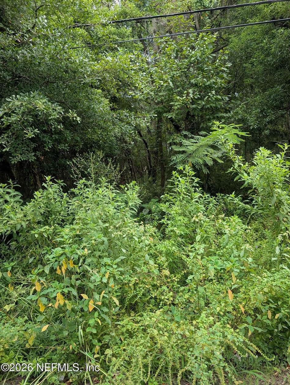 0.07 Acres of Residential Land for Sale in Jacksonville, Florida