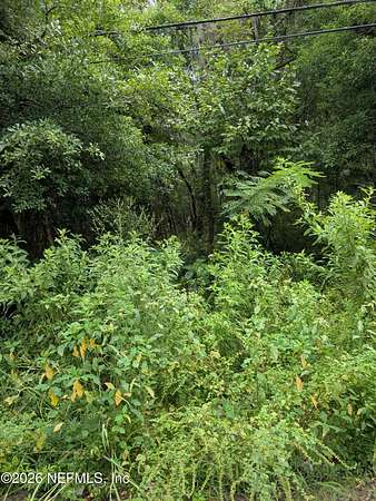0.07 Acres of Residential Land for Sale in Jacksonville, Florida