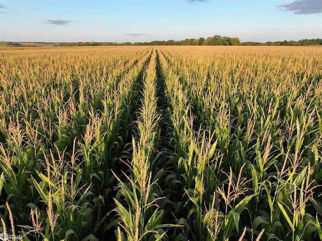 396 Acres of Agricultural Land for Auction in Sigourney, Iowa