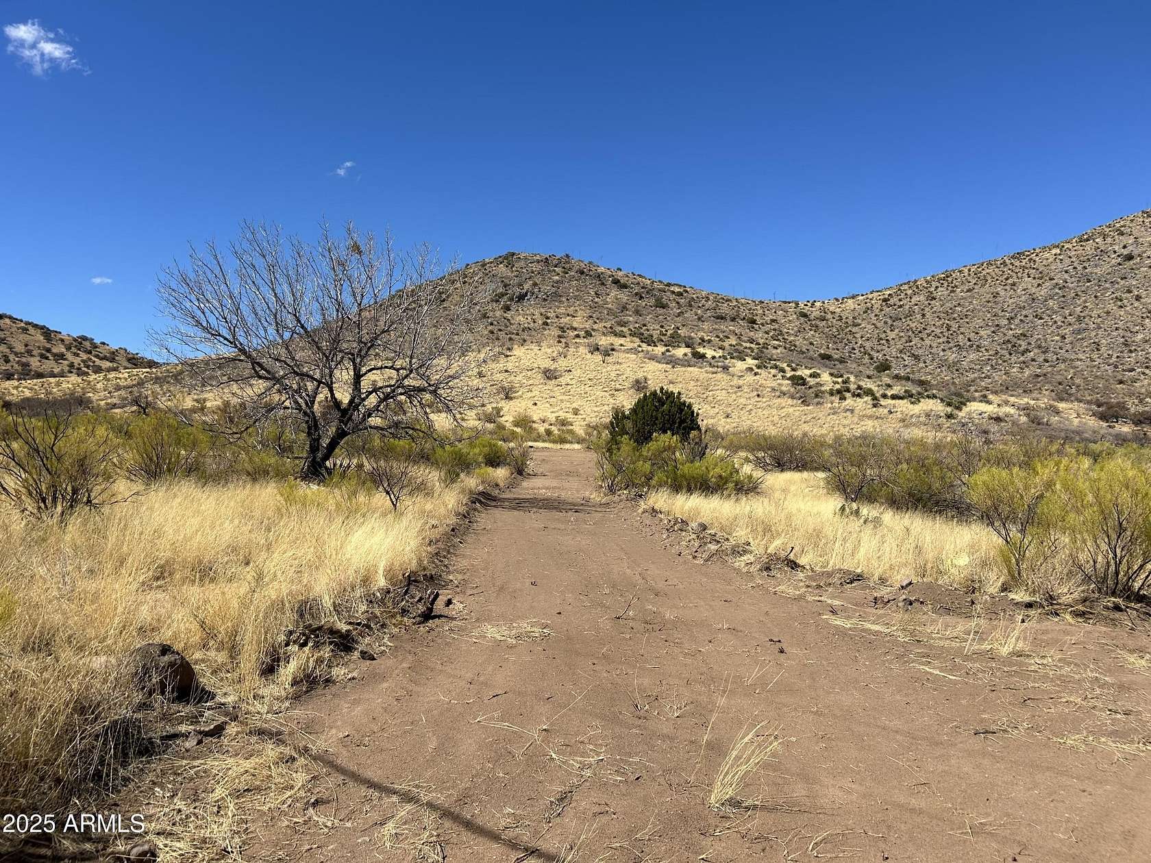 4 Acres of Residential Land for Sale in Hereford, Arizona