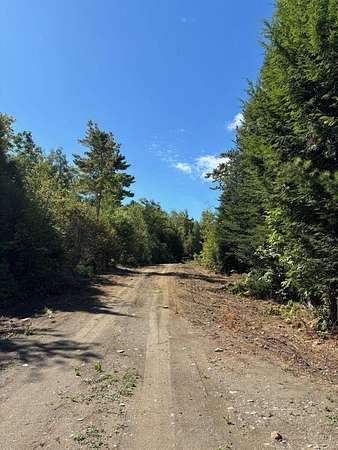 6 Acres of Residential Land for Sale in Freedom, Maine