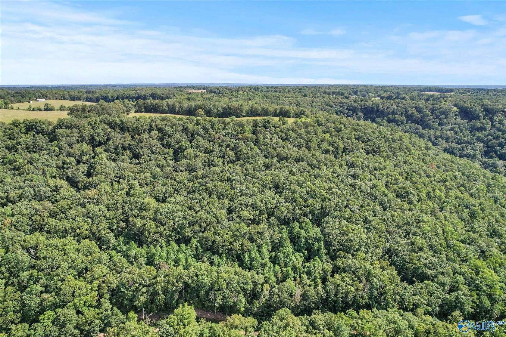 15.4 Acres of Recreational Land for Sale in Grant, Alabama