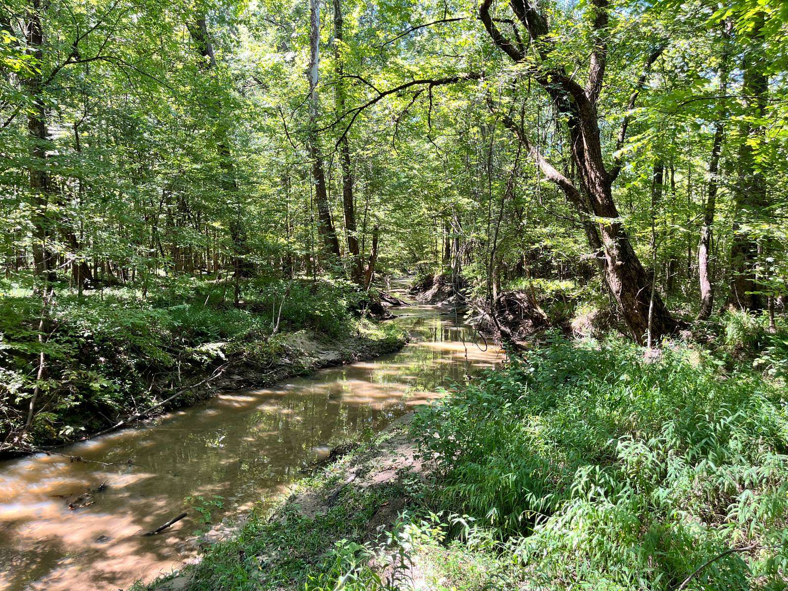 84 Acres of Recreational Land & Farm for Sale in McCormick, South Carolina