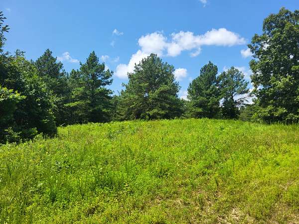 6 Acres of Land for Sale in Holladay, Tennessee