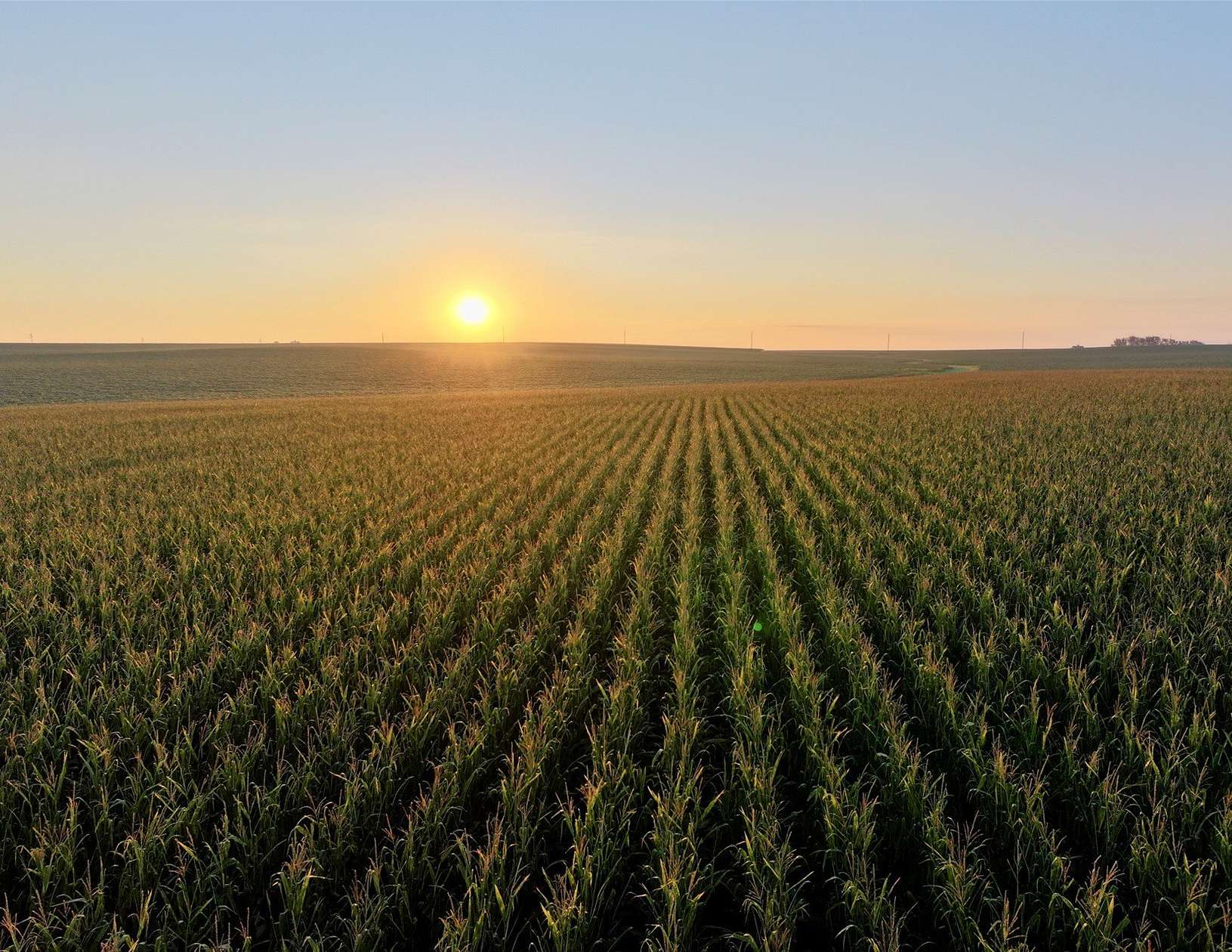 80 Acres of Recreational Land & Farm for Auction in Sherman Township, Iowa