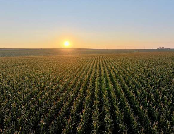 80 Acres of Recreational Land & Farm for Auction in Sherman Township, Iowa