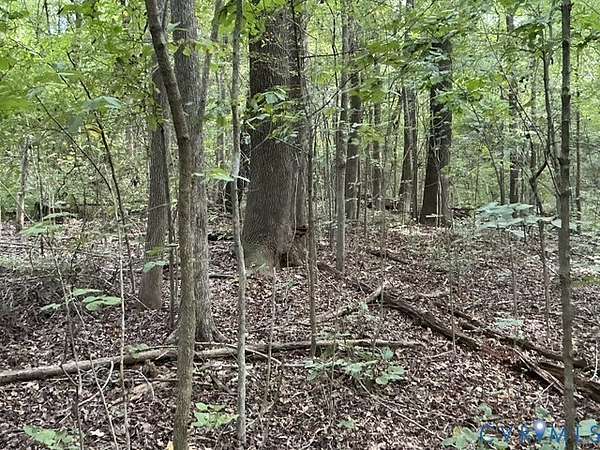 1.31 Acres of Land for Sale in Petersburg, Virginia