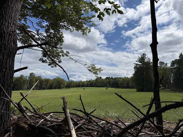 10.2 Acres of Agricultural Land for Sale in Cavendish, Vermont