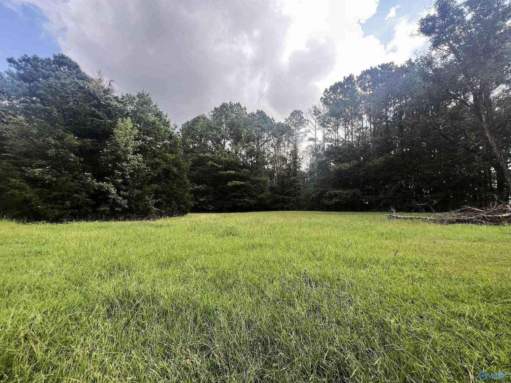 12.6 Acres of Recreational Land for Sale in Oxford, Alabama