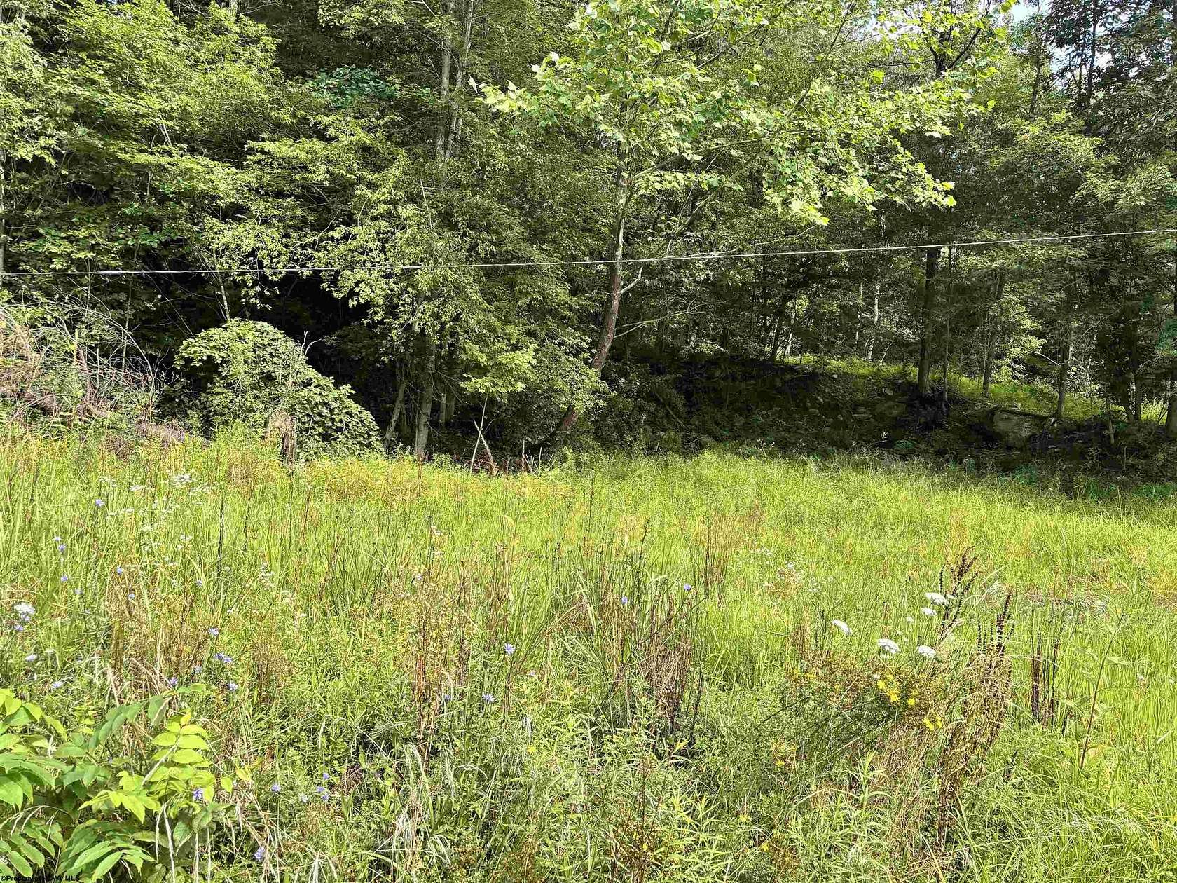 1.1 Acres of Residential Land for Sale in Tunnelton, West Virginia