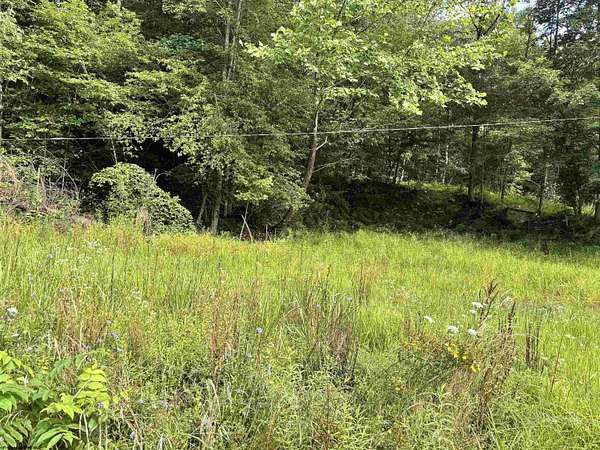 1.1 Acres of Residential Land for Sale in Tunnelton, West Virginia