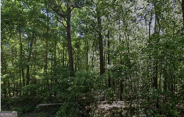 19.7 Acres of Land for Sale in Roberta, Georgia