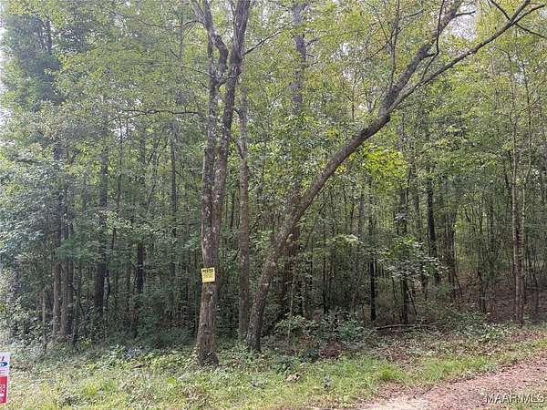 25 Acres of Recreational Land for Sale in Marbury, Alabama