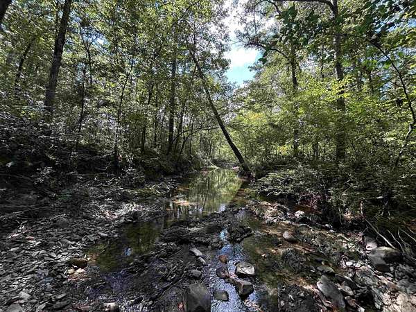 9.86 Acres of Land for Sale in Mena, Arkansas