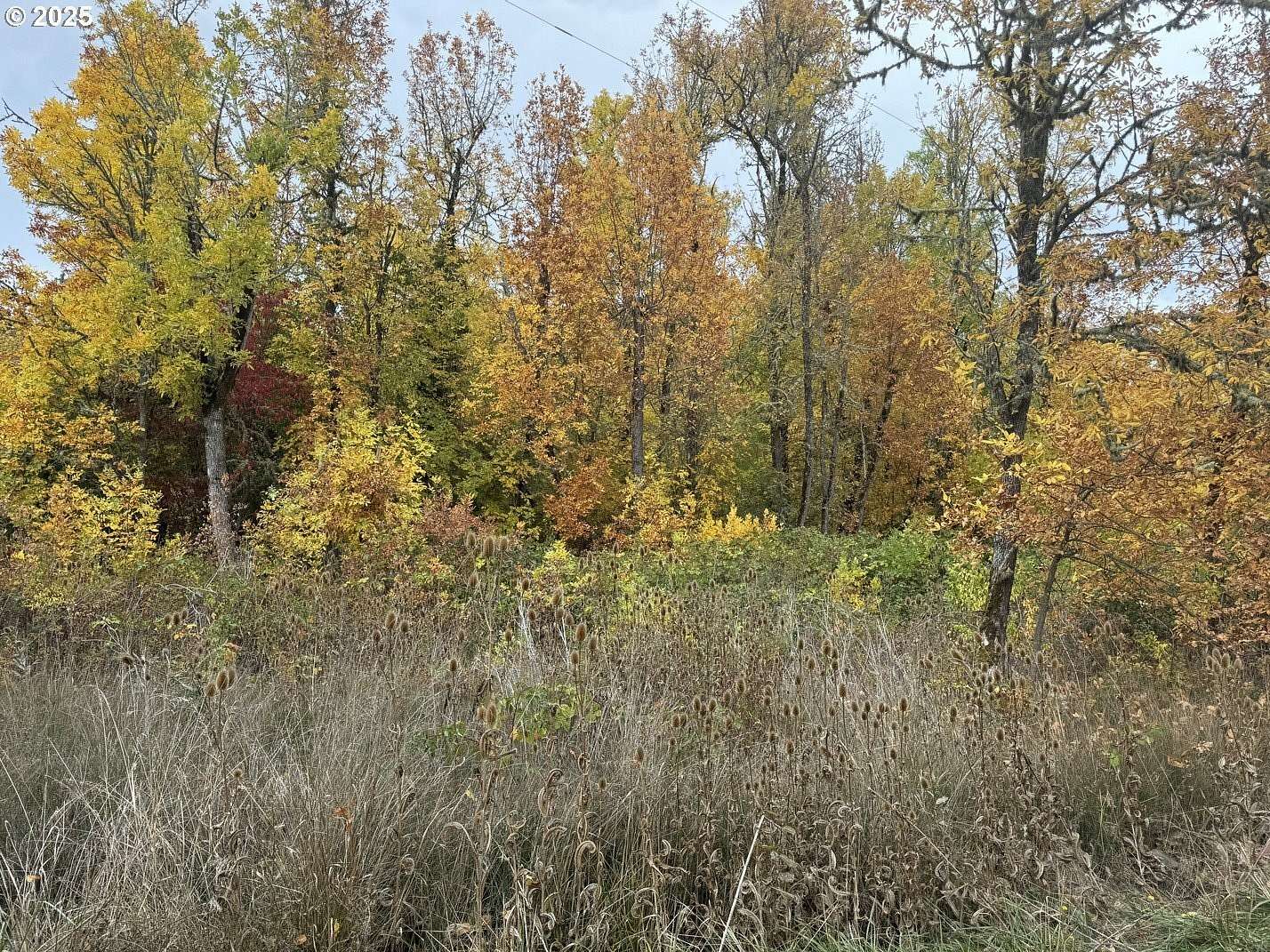 0.25 Acres of Residential Land for Sale in Eugene, Oregon