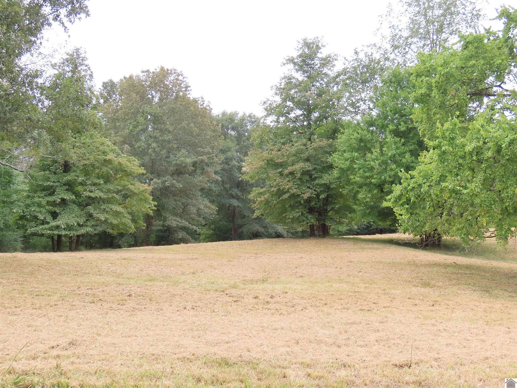 4 Acres of Residential Land for Sale in Wingo, Kentucky