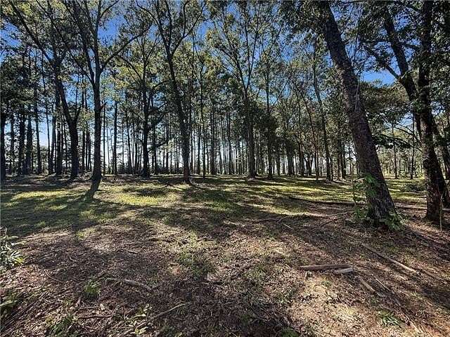 1.6 Acres of Residential Land for Sale in Franklinton, Louisiana