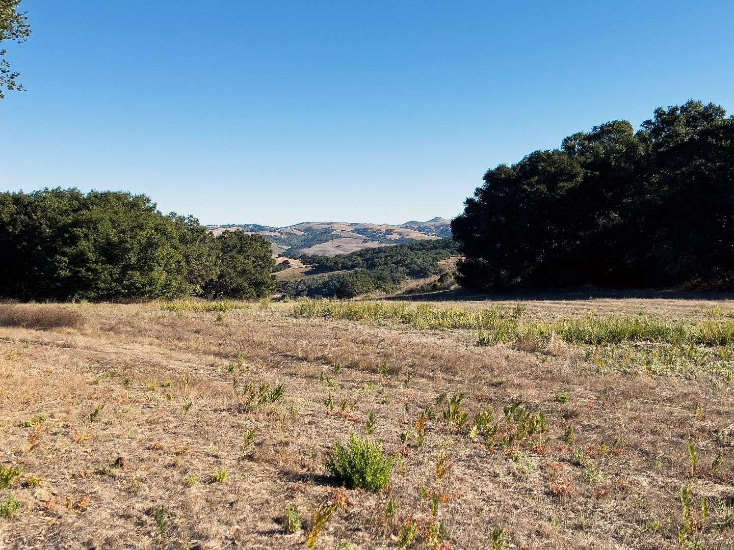 52 Acres of Agricultural Land for Sale in Carmel Valley, California