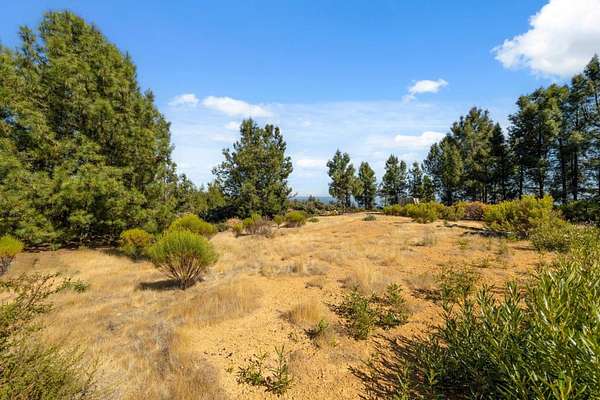 76.4 Acres of Agricultural Land for Sale in Los Gatos, California