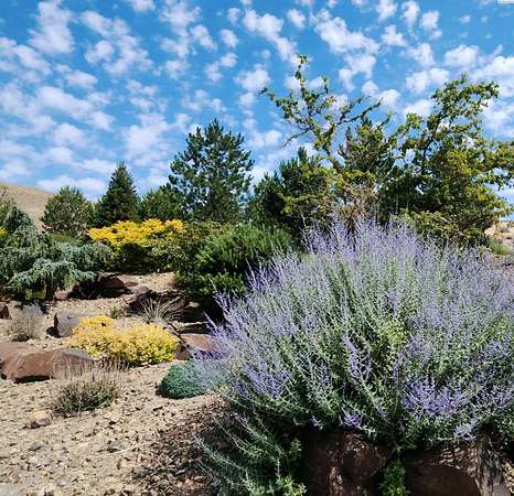 0.32 Acres of Residential Land for Sale in Kennewick, Washington