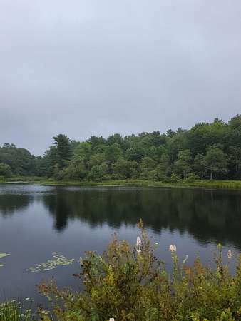 16.7 Acres of Land for Sale in Ellsworth, Maine