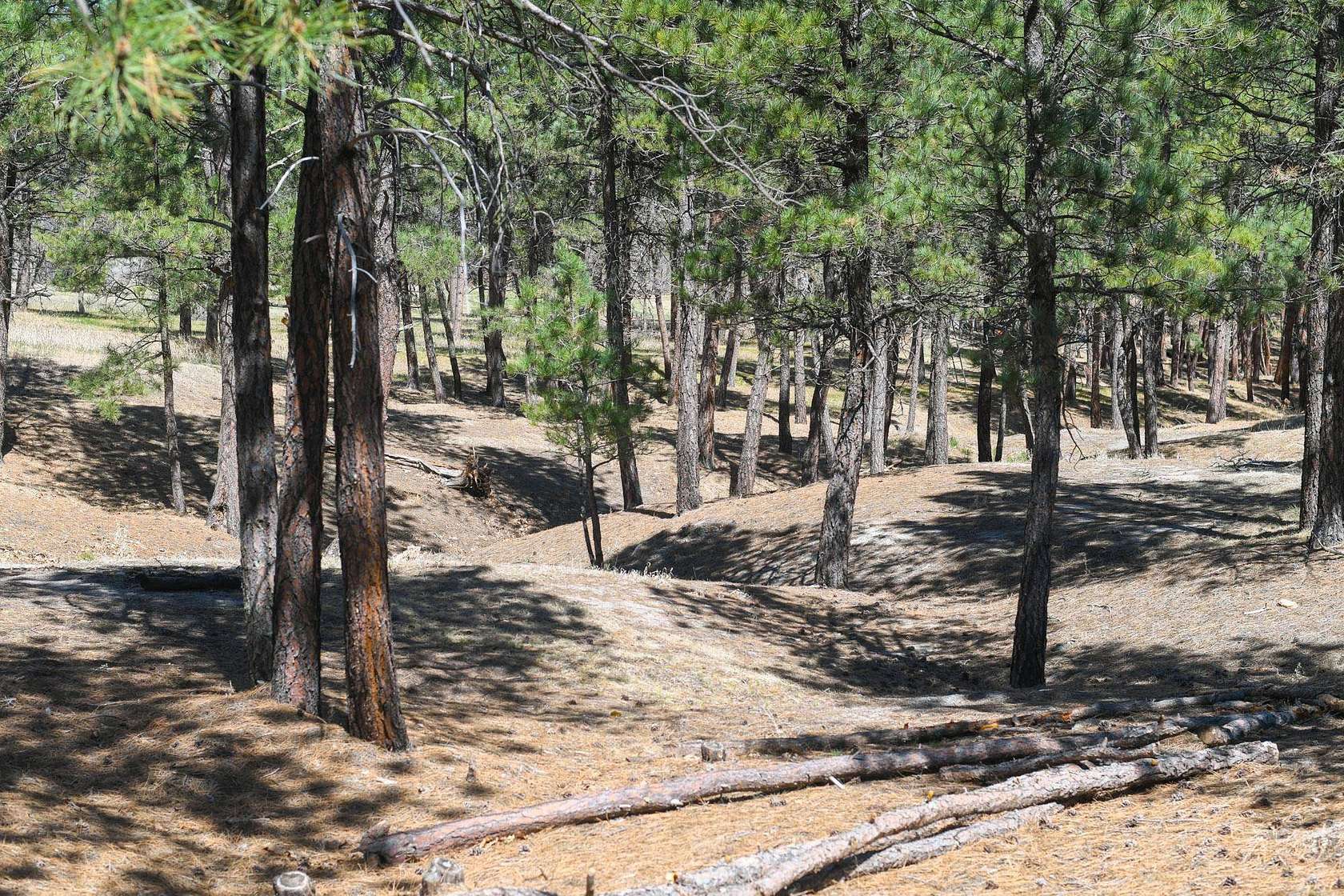 3.58 Acres of Land for Sale in Belle Fourche, South Dakota