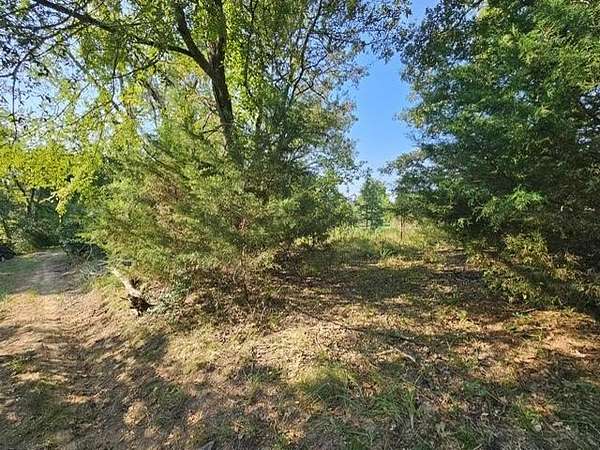 8 Acres of Land for Sale in Palestine, Texas