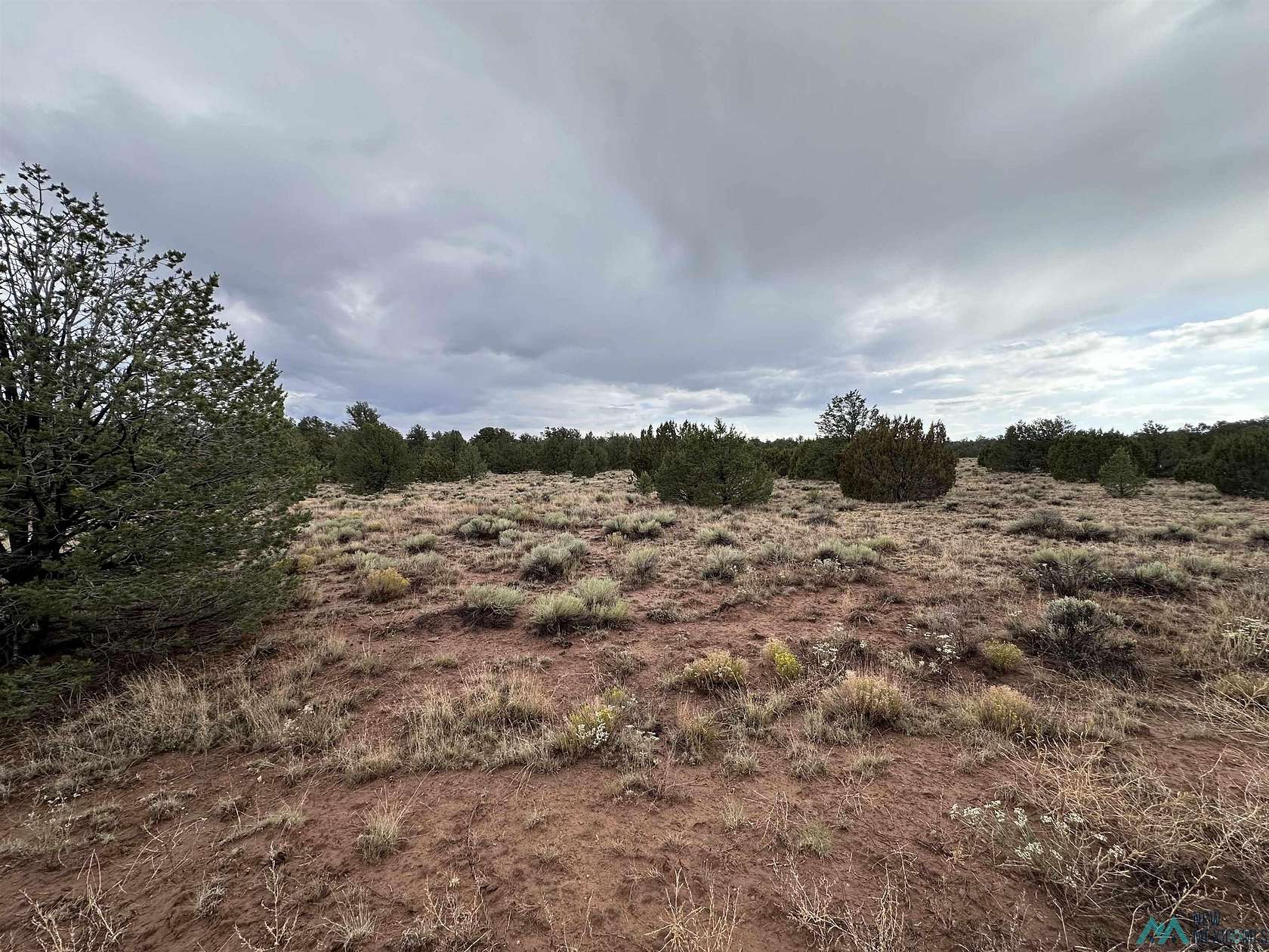 20 Acres of Recreational Land for Sale in Thoreau, New Mexico