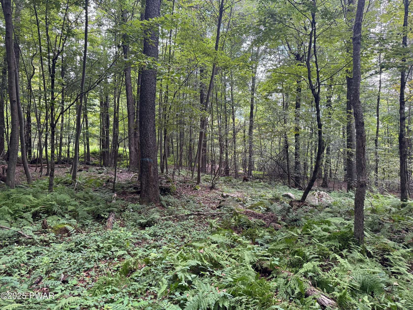 2 Acres of Residential Land for Sale in Honesdale, Pennsylvania